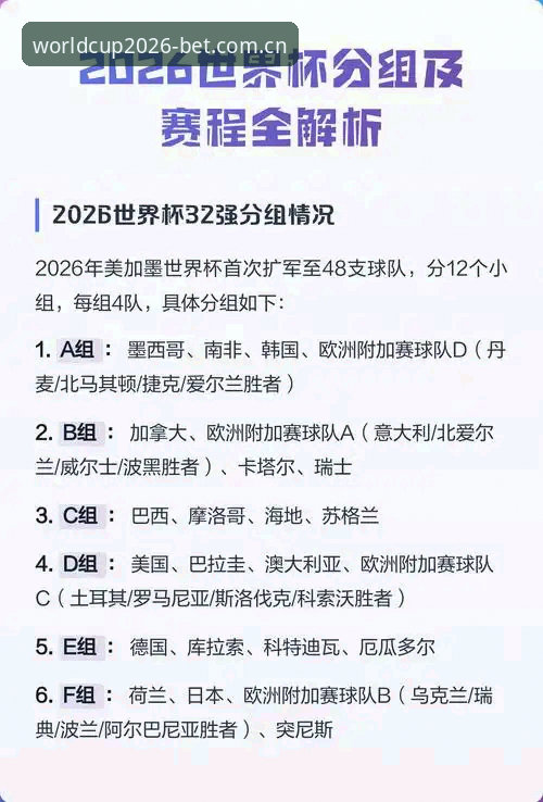 2026世界杯正版投注全面解析：一个老用户的深度体验与实用指南